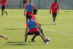 Sanogo-in-azione-2