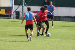 Sanogo-in-azione