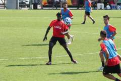 Sanogo