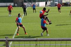 Thiam-in-azione