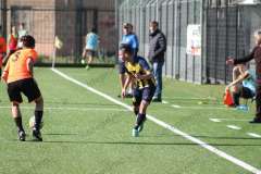 Allievi Regionali - Grippo-Juve Stabia (23)