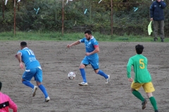 Amorosi-Airola (84)
