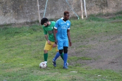 Amorosi-Airola (91)