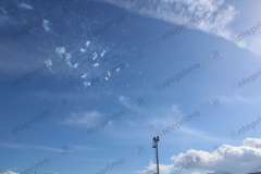 IMG_9016