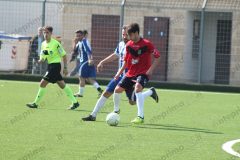 Arpaise-Bonea United 114
