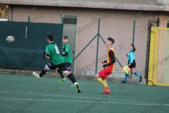 IMG_3887