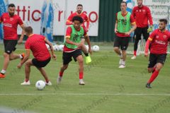 046 - Tello in azione