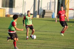 050 - Insigne