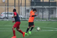 Grippo-Scampia (36)
