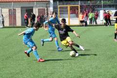 Il torneo di Pasqua della Grippo (11)