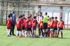 Il torneo di Pasqua della Grippo (50)