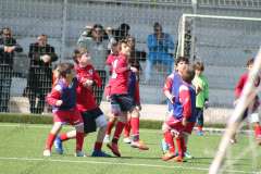 Il torneo di Pasqua della Grippo (79)