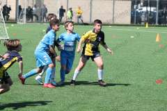 Il torneo di Pasqua della Grippo (96)