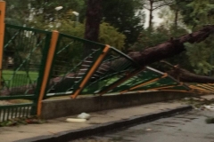 Cancellata divelta a Carinaro