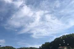 WhatsApp-Image-2025-09-07-at-22.17.00