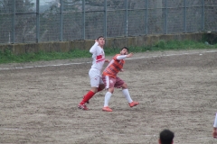 Virtus Benevento-San Leucio del Sannio (50)