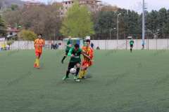 IMG_8706