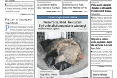 il-giornale-000304347