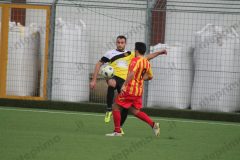 Rione Libertà-San Leucio del Sannio (41)