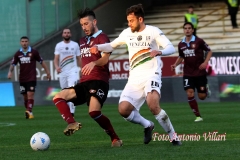 Salernitana-Venezia (15)