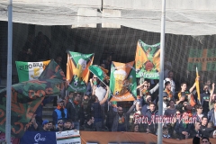 Salernitana-Venezia (5)