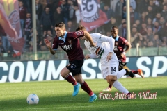 Salernitana-Venezia (8)