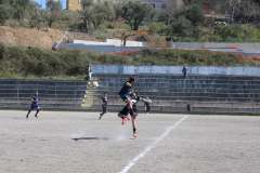 IMG_6697