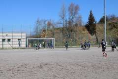IMG_6720
