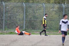 IMG_3654