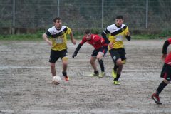 IMG_5503