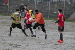 IMG_5660