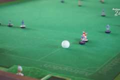 subbuteo12