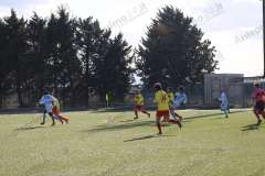 Sporting Pietrelcina-Carinola (60)