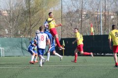 IMG_6530