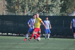 IMG_6541