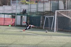 IMG_6624