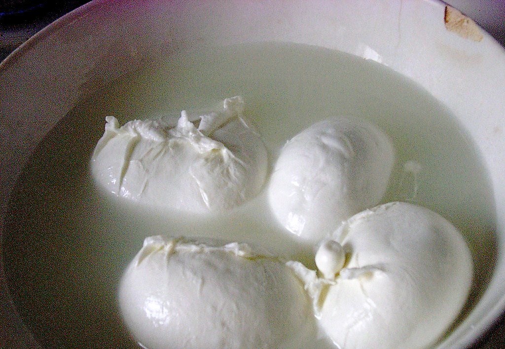 Mozzarella di bufala nella Top20, export, tutela e crescita costanti Mozzarella di bufala nella Top20, export, tutela e crescita costanti