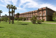 Capodimonte, Acampora (Pd): “Raccolte oltre 600 firme per chiedere le dimissioni di Schmidt”