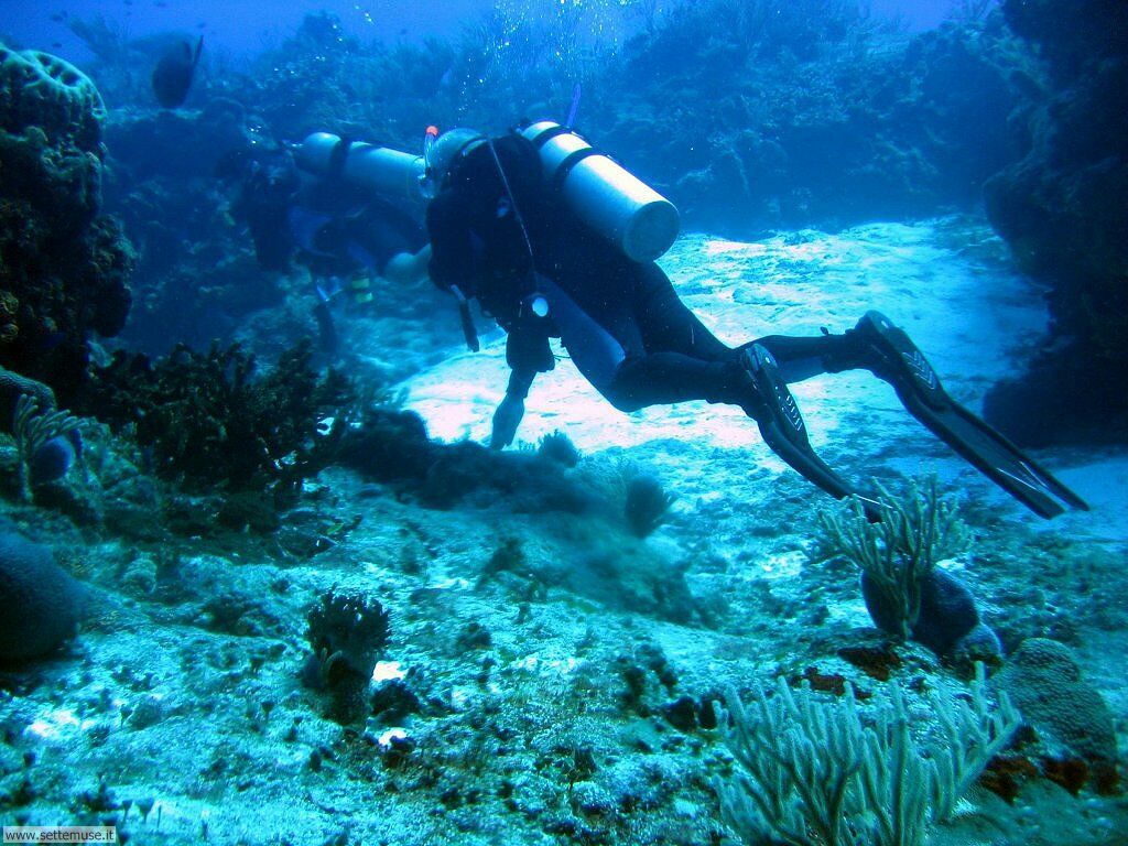 Malore durante un’immersione, sub ricoverata in gravi condizioni a Sorrento