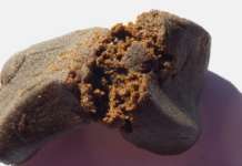 Traffico di sostanze stupefacenti: la Polizia sequestra oltre cinque chili di hashish