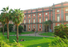 Napoli, Acampora (PD): “Schmidt se perde torna a Napoli? Non siamo ruota scorta”