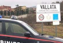 Crolla tetto in lamiera di un capannone agricolo, nessun ferito