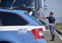 Formaggi e larve per pesca nel camion, sequestro e smaltimento