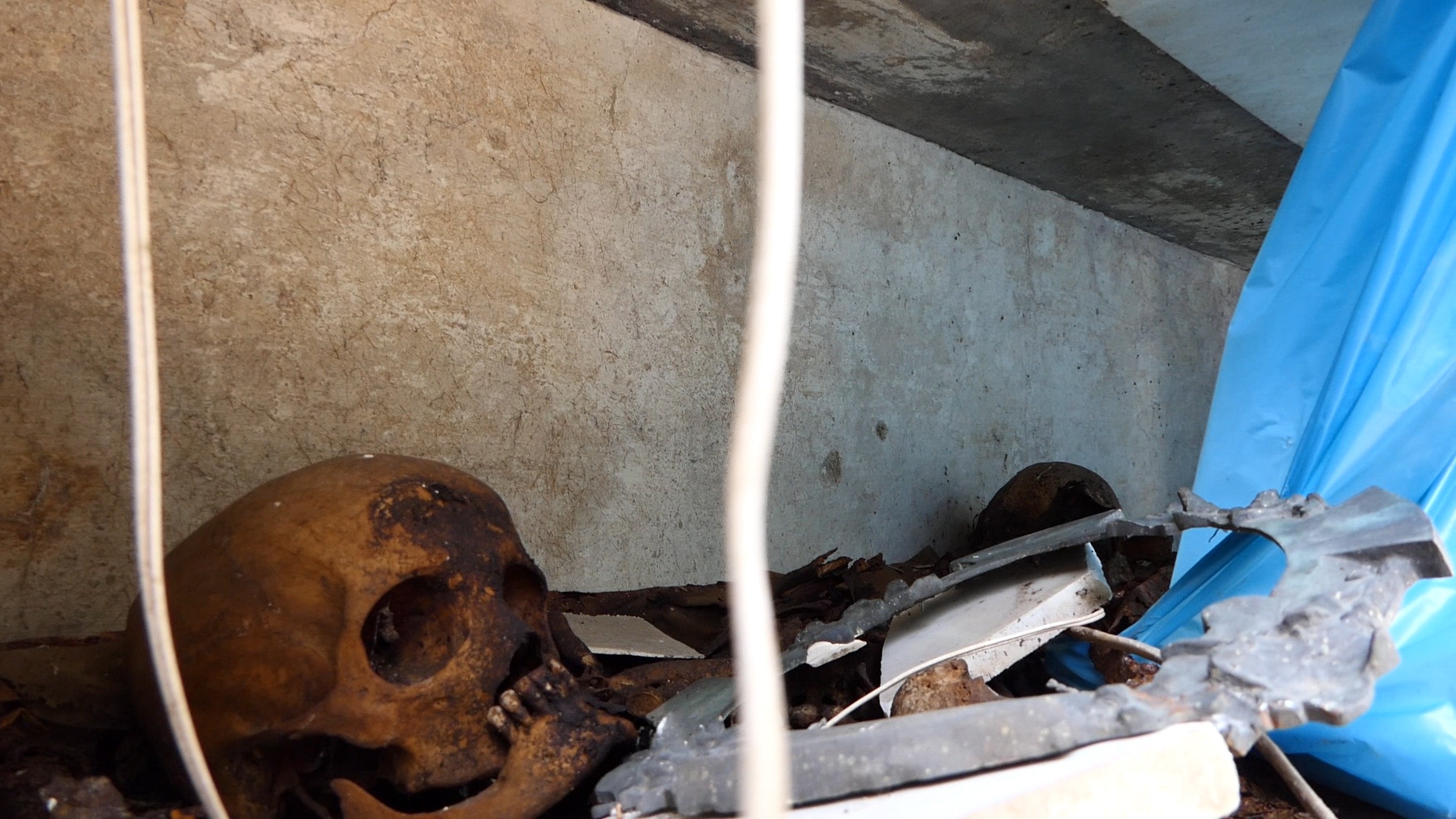 Poggioreale, viaggio nel cimitero degli orrori (FOTOGALLERY) Poggioreale, viaggio nel cimitero degli orrori (FOTOGALLERY)