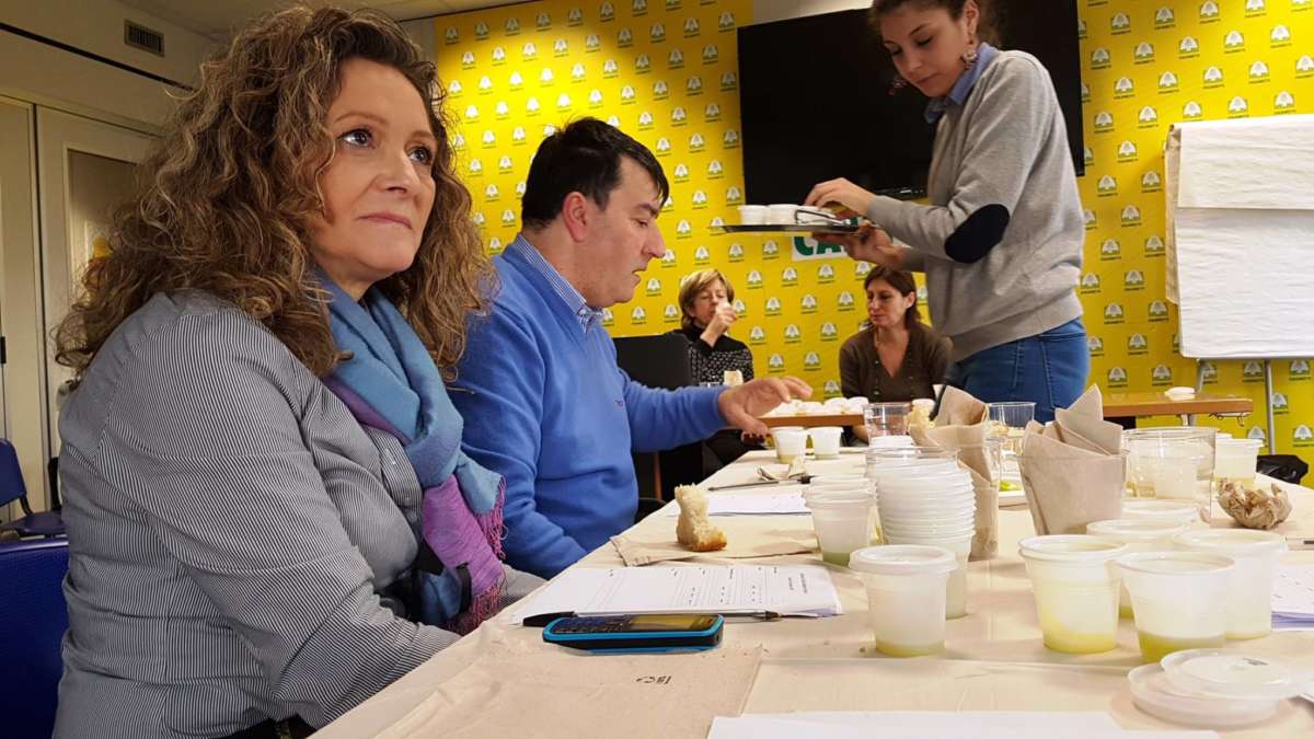 Olio Evo Campania, questa mattina il panel test “Gambero Rosso” Olio Evo Campania, questa mattina il panel test “Gambero Rosso”