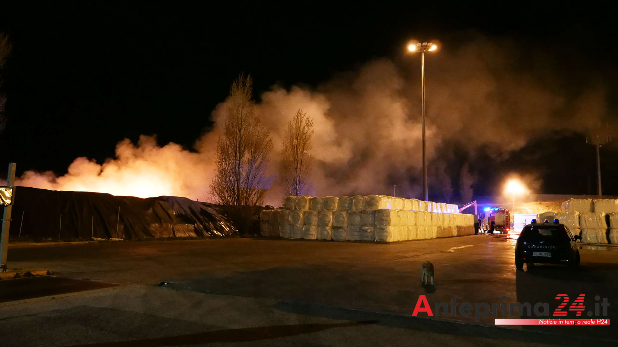 stir casalduni i lavoratori samte chiedono risposte concrete