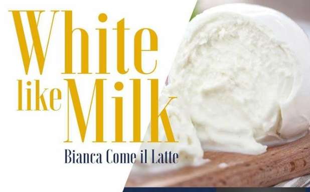 “Bianca come il latte”, la grande kermesse in programma a Grazzanise “Bianca come il latte”, la grande kermesse in programma a Grazzanise