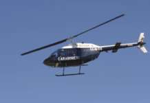 Una piantagione di cannabis a pochi passi dal centro di Caivano