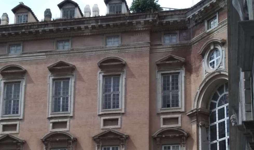 Albero sulla facciata della Reggia, Felicori: “I lavori arriveranno ad ottobre” Albero sulla facciata della Reggia, Felicori: “I lavori arriveranno ad ottobre”