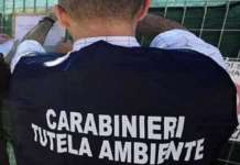 Rifiuti dalla Campania alla Puglia, vasta operazione della Dda di Bari e del Noe